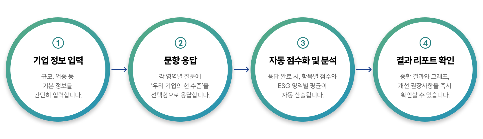 ESG 사전진단 진행 절차 이미지